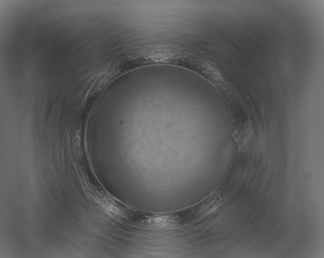 X0000052930365200507151623