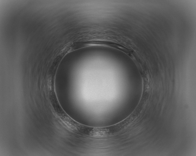 X0000052930368200507151623
