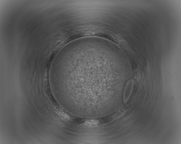 X0000052930369200507151623