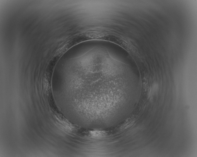 X0000052930371200507151623