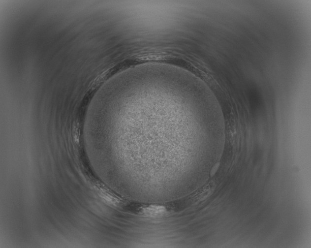 X0000052930374200507151623