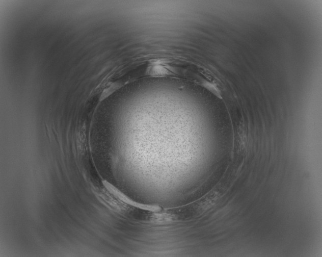 X0000052930376200507151623