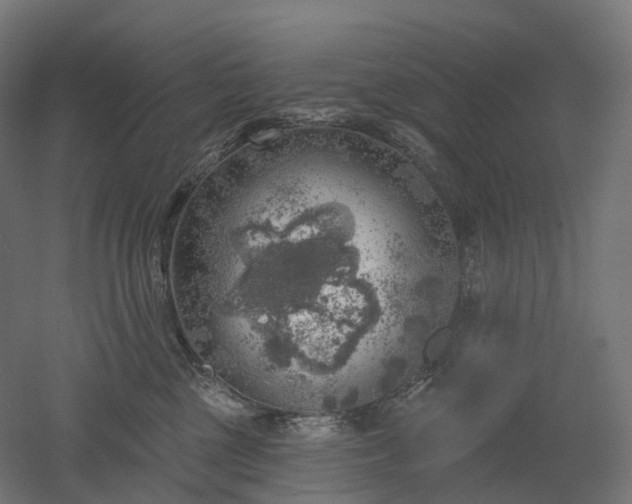 X0000052930377200507151623