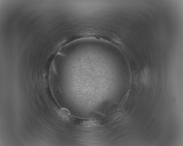 X0000052930378200507151623