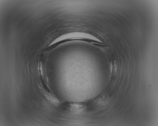 X0000052930380200507151623