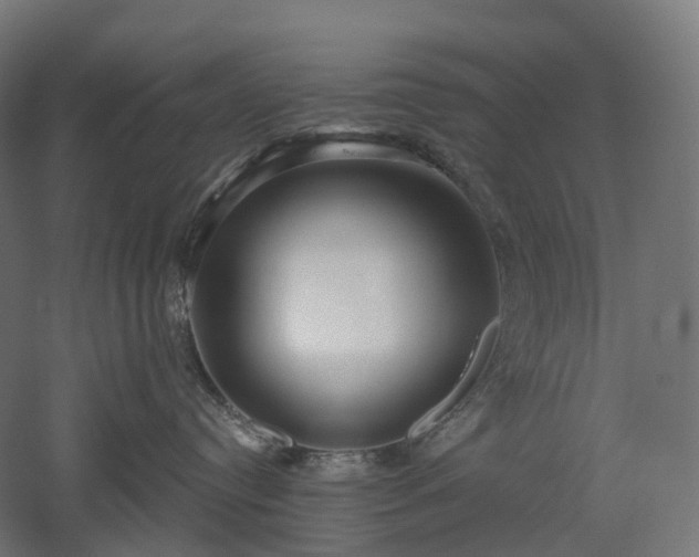 X0000052930384200507151623