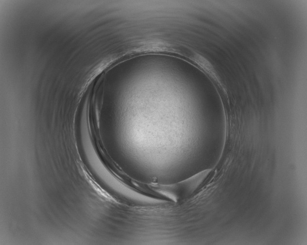 X0000052930389200507151622