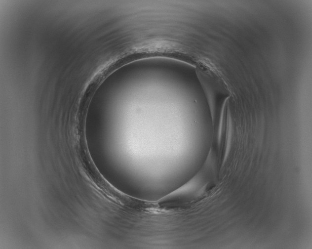 X0000052930392200507151622
