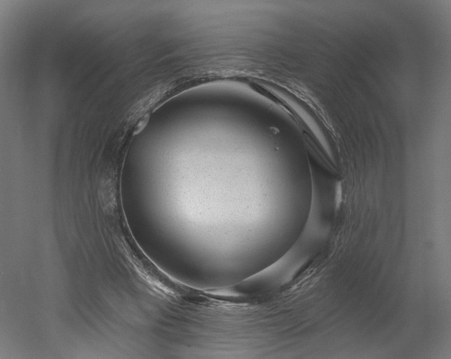 X0000052930393200507151622