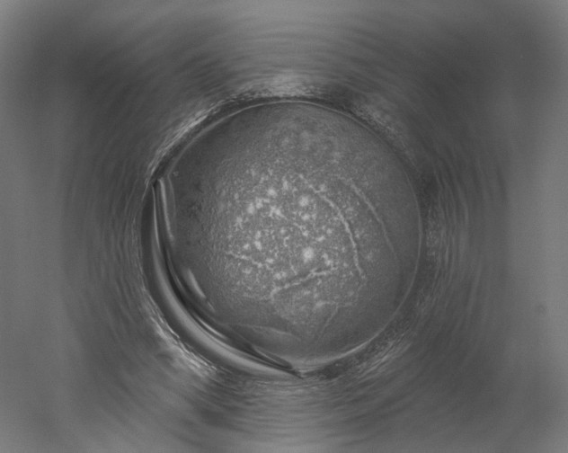 X0000052930394200507151622
