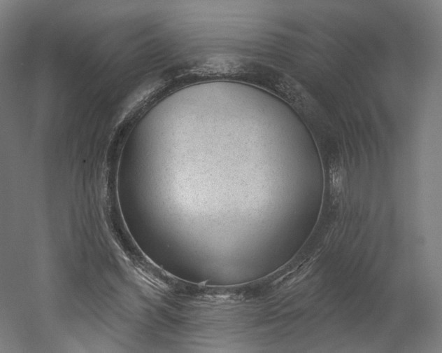 X0000052930396200507151622