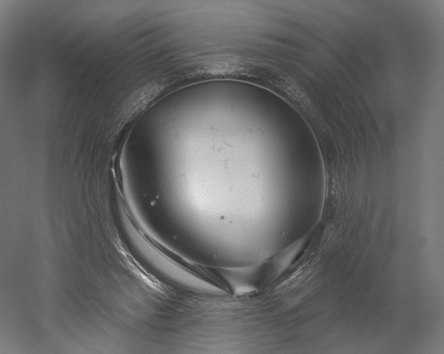 X0000052930397200507151622