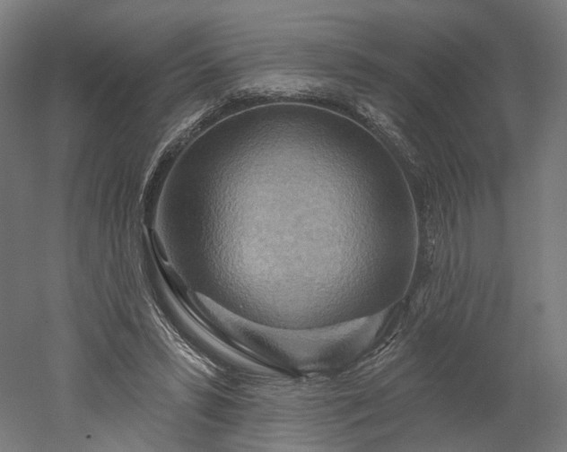 X0000052930399200507151622