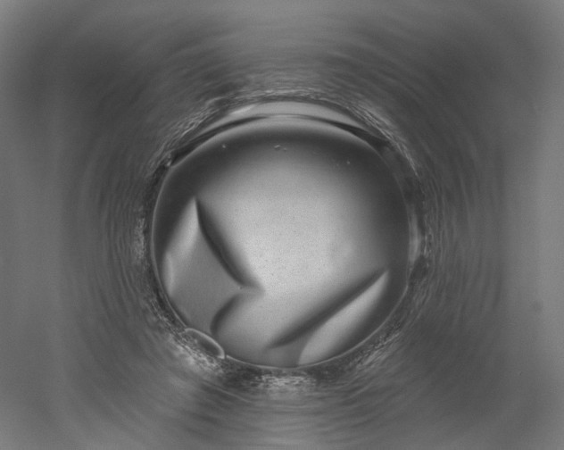 X0000052930401200507151622