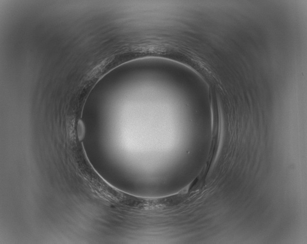 X0000052930403200507151622