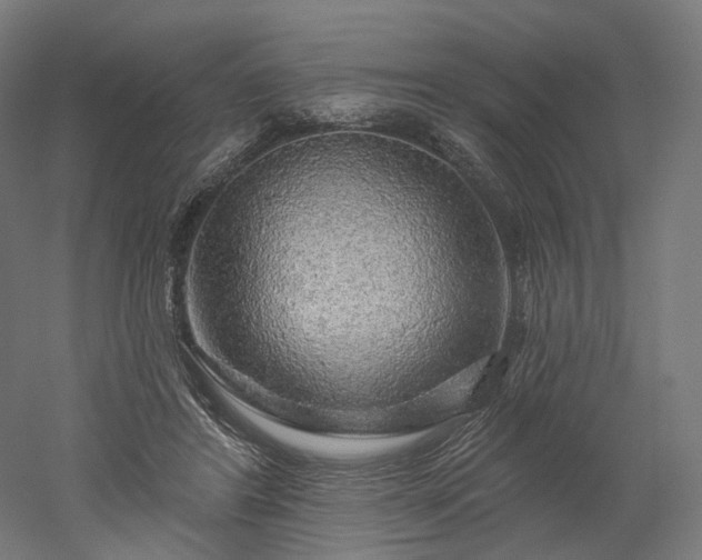 X0000052930404200507151622