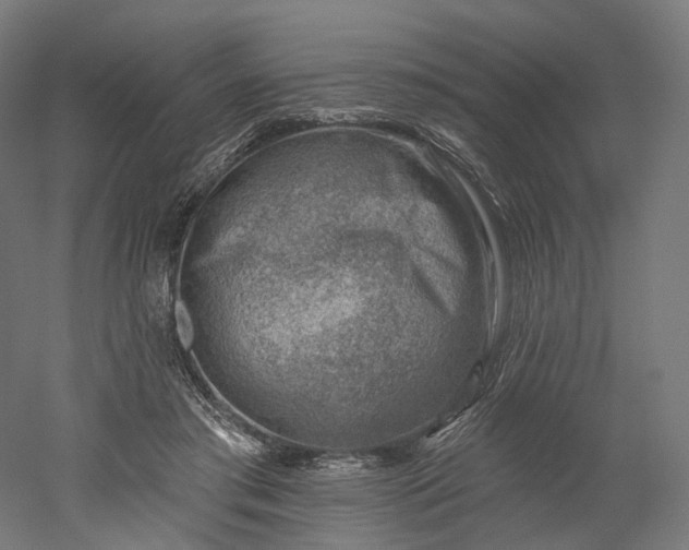 X0000052930405200507151622