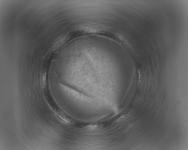 X0000052930406200507151622