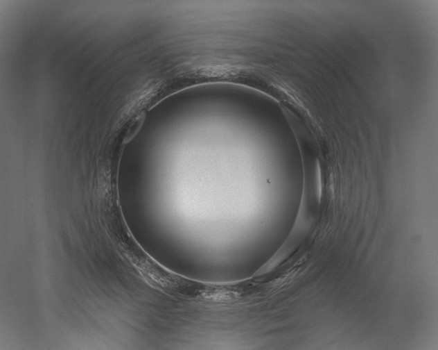 X0000052930407200507151622