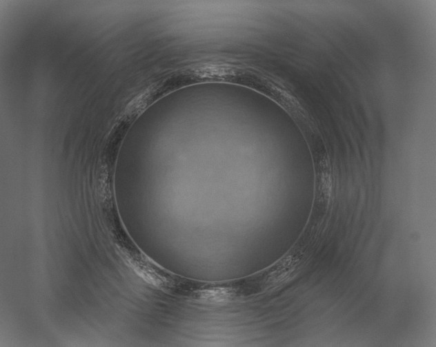 X0000052930411200507151622