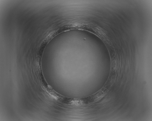 X0000052930415200507151622
