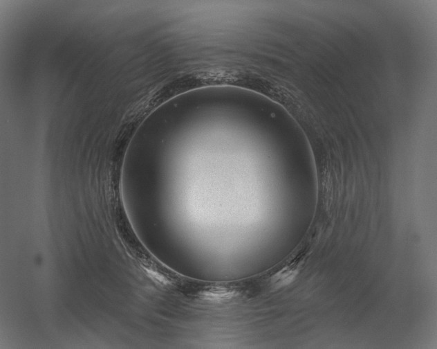 X0000052930416200507151622