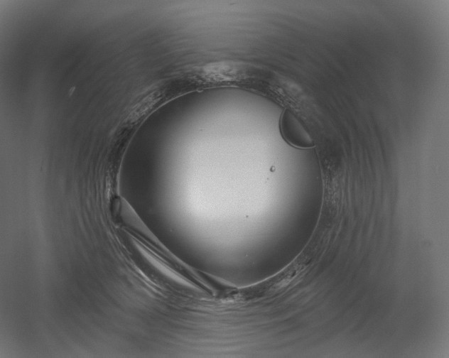 X0000052930418200507151622