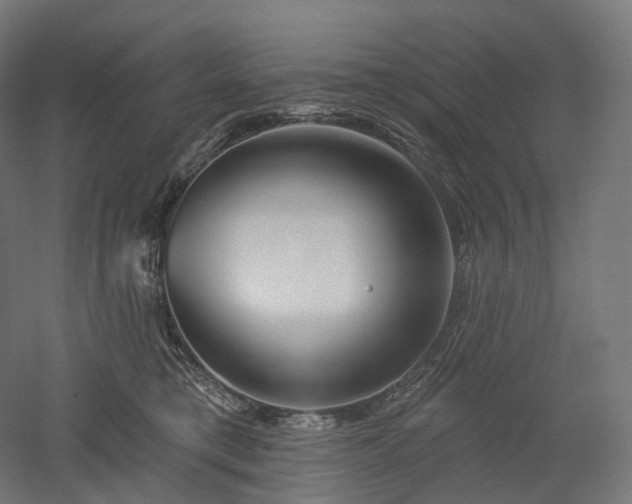 X0000052930421200507151622