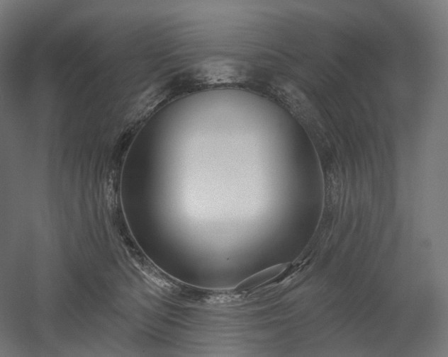 X0000052930422200507151622