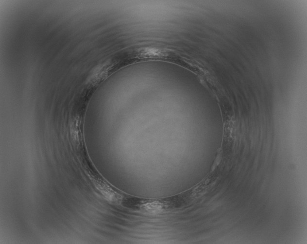 X0000052930423200507151622
