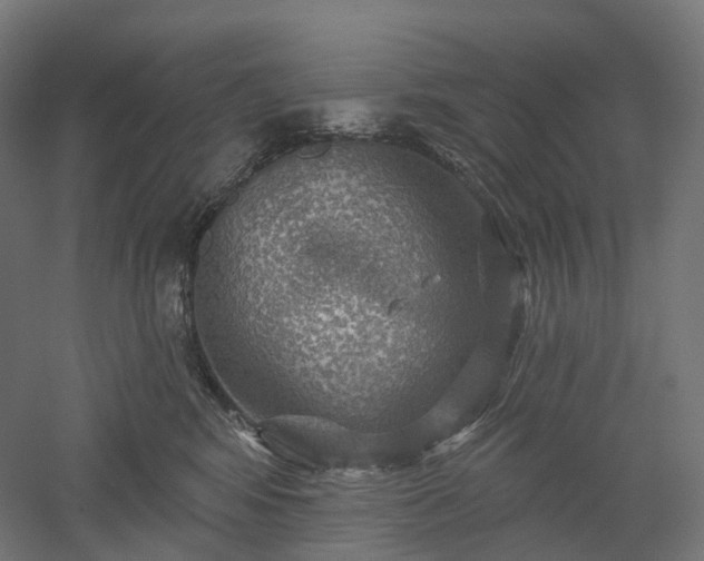 X0000052930424200507151622
