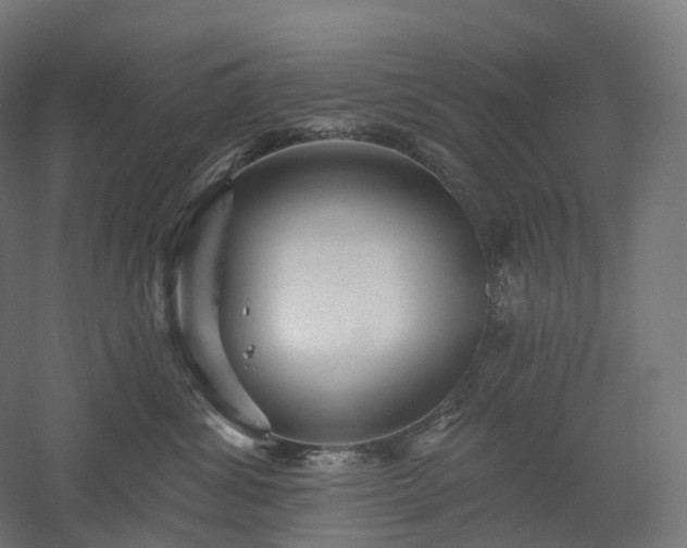 X0000052930428200507151622