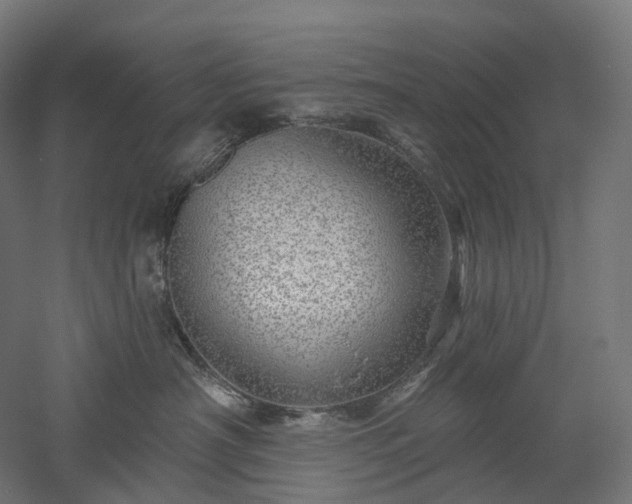 X0000052930430200507151622