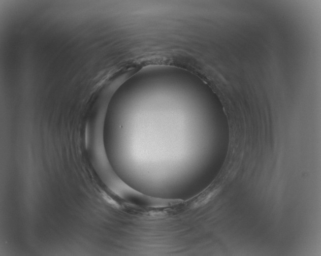 X0000052930432200507151622