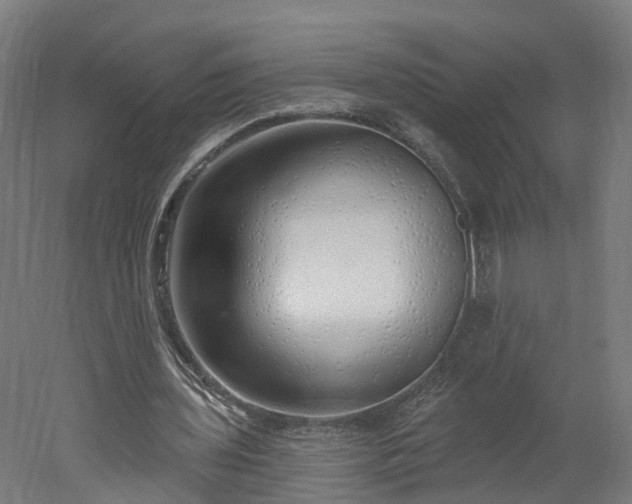 X0000052930435200507151621