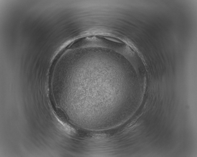 X0000052930438200507151621
