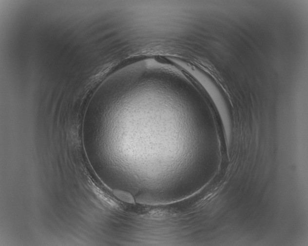 X0000052930441200507151621
