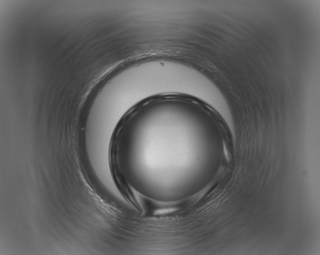 X0000052930444200507151621