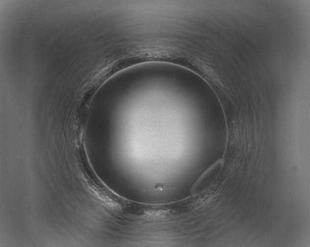X0000052930450200507151621