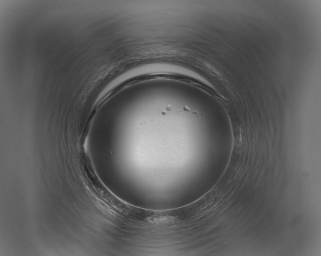 X0000052930452200507151621
