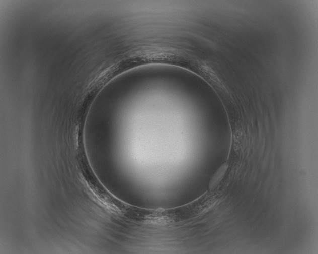 X0000052930454200507151621
