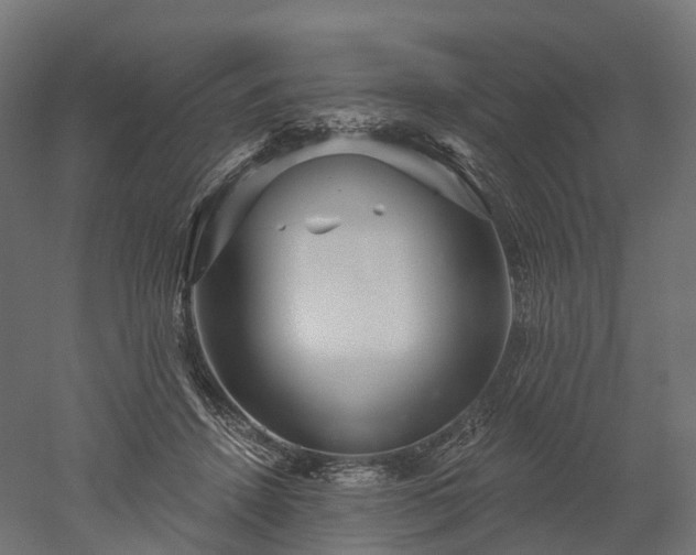 X0000052930456200507151621