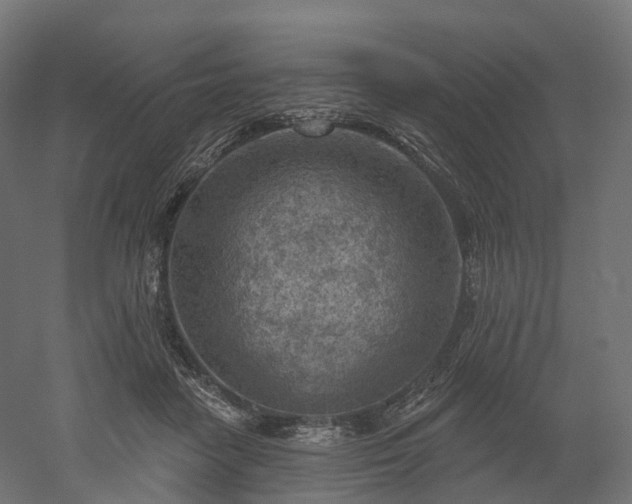 X0000052930458200507151621