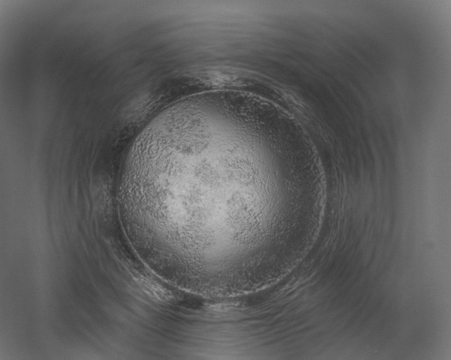 X0000052930461200507151621