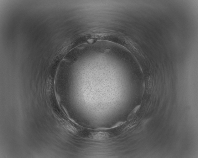 X0000052930463200507151621
