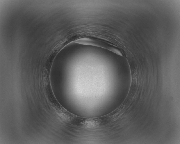 X0000052930464200507151621