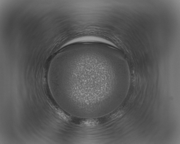 X0000052930466200507151621