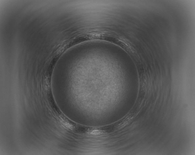 X0000052930467200507151621
