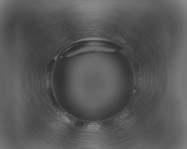 X0000052930471200507151621