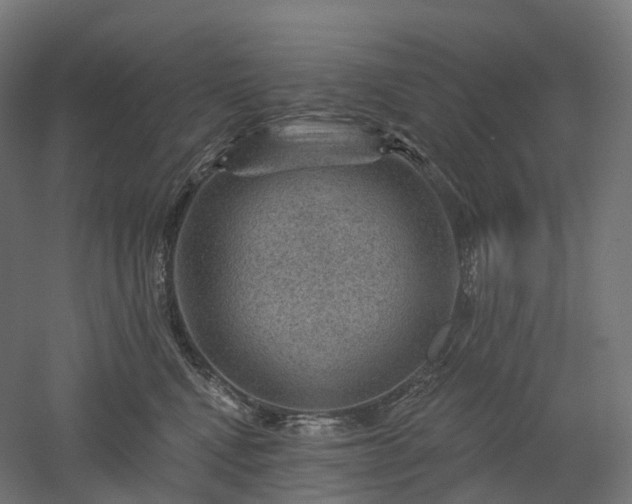X0000052930472200507151621